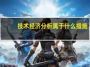 技术经济分析属于什么措施