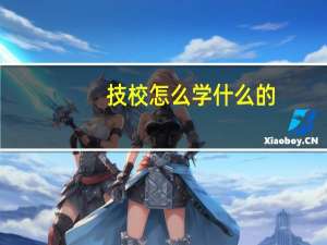 技校怎么学什么的