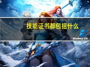 技能证书都包括什么