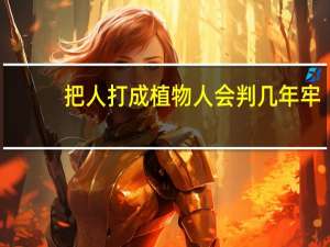 把人打成植物人会判几年牢