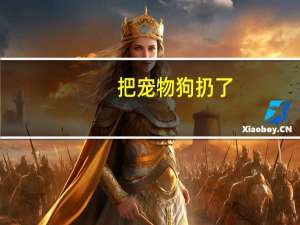 把宠物狗扔了