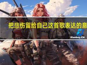 把悲伤留给自己这首歌表达的意思