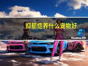抑郁症养什么宠物好