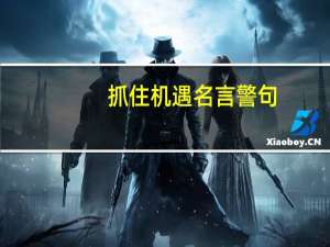 抓住机遇名言警句