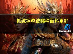 抓绒摇粒绒哪种面料更好