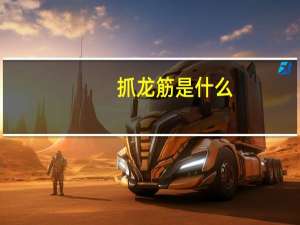抓龙筋是什么