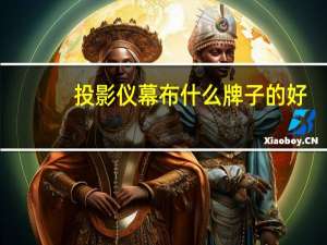 投影仪幕布什么牌子的好（投影仪幕布什么材质好）