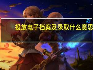 投放电子档案及录取什么意思