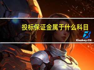 投标保证金属于什么科目