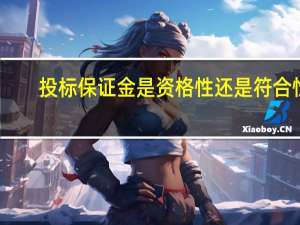 投标保证金是资格性还是符合性