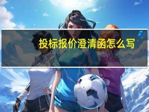 投标报价澄清函怎么写