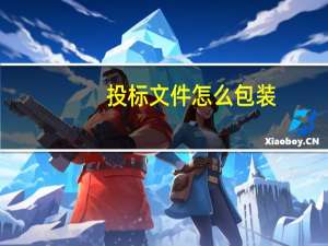 投标文件怎么包装