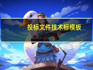 投标文件技术标模板（投标文件技术标怎么做）