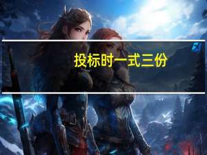 投标时一式三份，一正二副，封装什么意思
