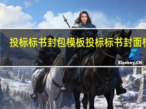 投标标书封包模板 投标标书封面模板