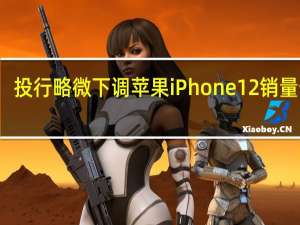 投行略微下调苹果iPhone12销量预期