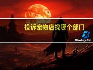 投诉宠物店找哪个部门