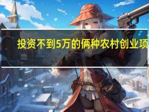 投资不到5万的俩种农村创业项目