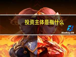 投资主体是指什么
