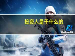 投资人是干什么的
