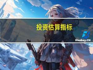 投资估算指标