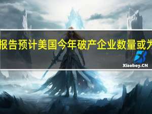 投资公司报告预计美国今年破产企业数量或为2010年来最高