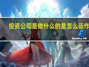 投资公司是做什么的 是怎么运作的（投资公司是做什么的）