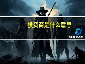 投资商是什么意思