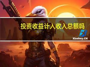 投资收益计入收入总额吗（投资收益计算公式）