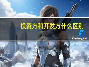 投资方和开发方什么区别