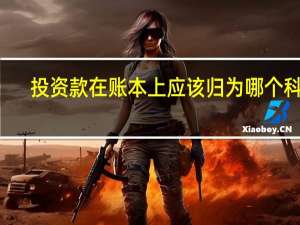 投资款 在账本上应该归为哪个科目