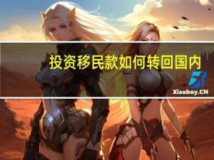 投资移民款如何转回国内