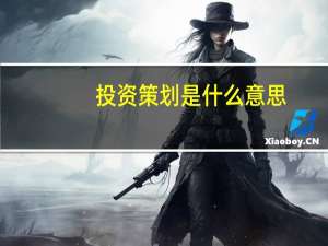 投资策划是什么意思
