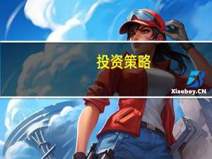 投资策略