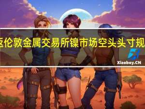 投资者重返伦敦金属交易所镍市场空头头寸规模达到46亿美元