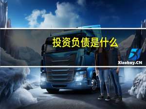 投资负债是什么
