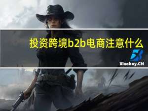 投资跨境b2b电商注意什么