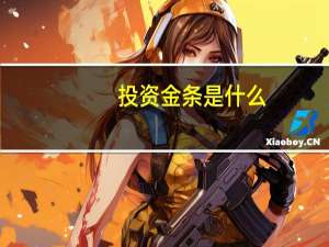 投资金条是什么