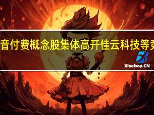 抖音付费概念股集体高开 佳云科技等竞价涨停