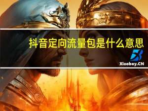 抖音定向流量包是什么意思
