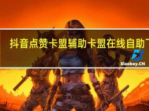 抖音点赞卡盟 辅助卡盟在线自助下单
