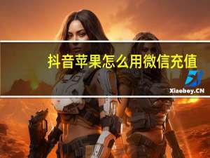抖音苹果怎么用微信充值 - 在线秒刷快手双击网站低价_全网低价自助平台哪个好