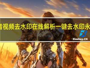 抖音视频去水印在线解析 一键去水印永久免费版
