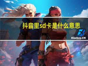 抖音里sd卡是什么意思（sd卡是什么意思）