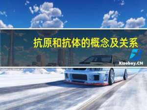 抗原和抗体的概念及关系（抗原和抗体的概念）