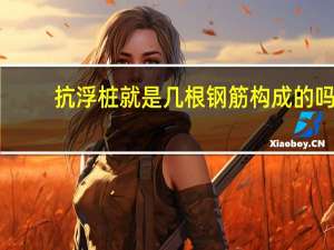 抗浮桩就是几根钢筋构成的吗