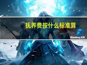 抚养费按什么标准算