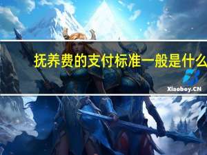 抚养费的支付标准一般是什么