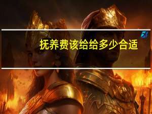 抚养费该给给多少合适