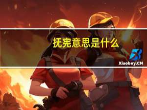 抚宪意思是什么